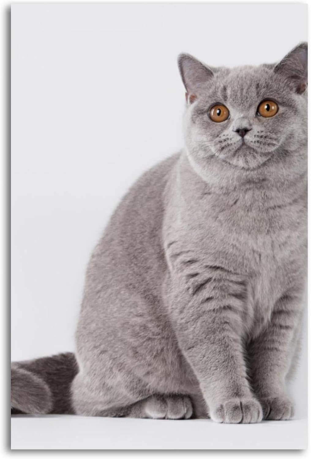 Home Office British - Placa de Metal Vintage com Gato