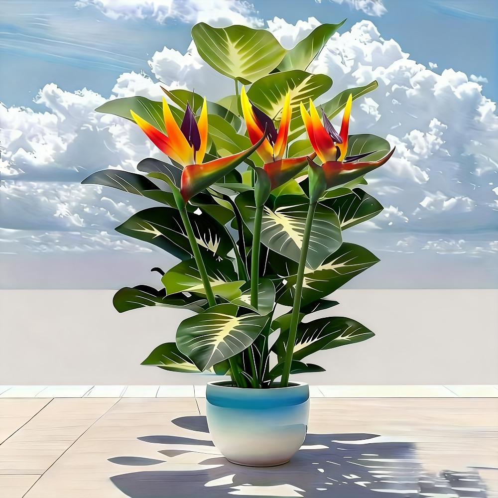 Plantas Artificiais de Ave do  - Home Office Call Center avaliação e preço